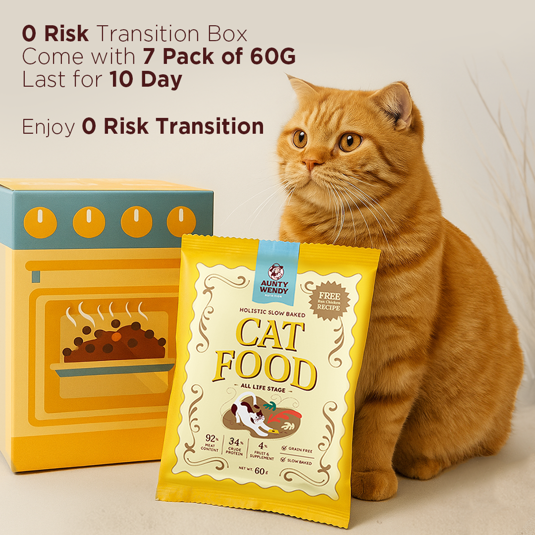 Aunty Wendy 10 Days Transition Bundle